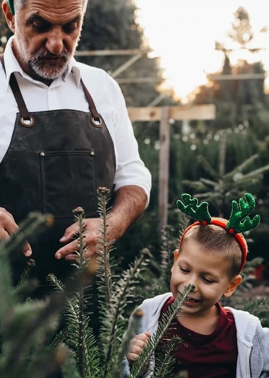 Enfant avec le sourire devant un sapin